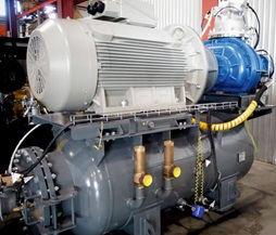 onas-k9.jpg